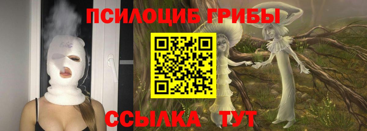 Карачаевск  Галлюциногенные грибы мицелий  Вход с VPN 