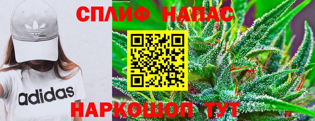 Шишки марихуана планчик Карачаевск
